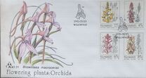 [Orchids, 类型 JT]
