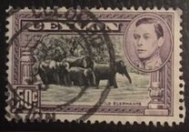 [King George VI - Local Motives, 類型 BV]
