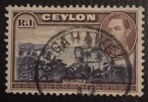[King George VI - Local Motives, 類型 BW]