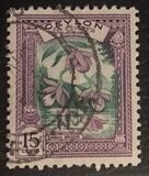 [Local Motifs, тып CF]