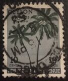 [Local Motifs, type CM]