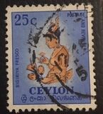 [Local Motifs, type CN]