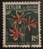 [Local Motifs, type CO]