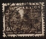 [Local Motifs, type CP]