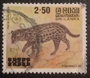 [Animals, Typ DH1]
