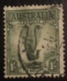 [Superb Lyrebird, тип N]