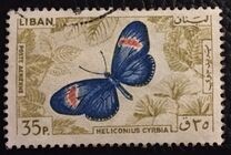 [Airmail - Butterflies, タイプ LY]