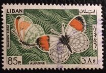 [Airmail - Butterflies, タイプ MC]