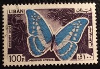 [Airmail - Butterflies, タイプ MD]