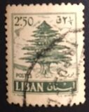 [Cedar of Lebanon - With Clouds, type HF]