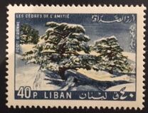 [Airmail - "Cedars of Friendship", type ML]