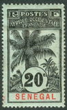 [Oil Palms, 유형 XYB]