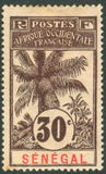[Oil Palms, 유형 XYB2]