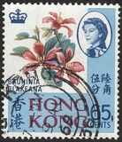 [Local Motives, type BN]