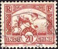 [Rice Sowing, tegund AG6]