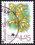 [Arctic Orchids, タイプ HF]