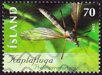 [Insects, type AIL]
