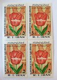 [The 2nd Anniversary of the Islamic Revolution, type CHR]