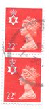 [New Values, タイプ D53]