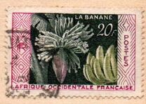 [Bananas, Tipo BT]