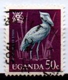 [Birds, type AE]