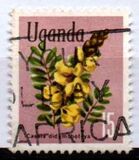 [Flowers, type AS]