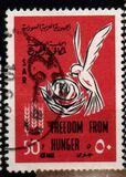 [Airmail - Freedom from Hunger, type NY]