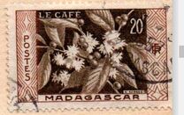 [El café., tipo JQ]