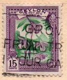 [Local Motifs, type CF]