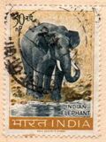 [Conservazione della fauna selvatica - Filigrana: colonne Ashoka (multiple) - Stampatore: Security Printing Press, Nasik, Scrivi FZ]