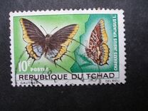 [Butterflies, tip DM]