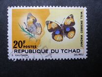 [Butterflies, tip DN]