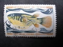 [Fish, type HQ]