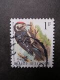 [Birds, type BNH]