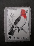 [Airmail - Birds, Tip OS]