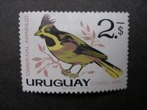 [Airmail - Birds, Tip OY]