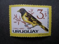 [Airmail - Birds, Tip OZ]