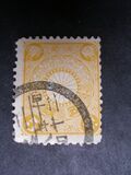 [Chrysanthemum, type AJ5]
