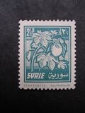 [Aleppo Cotton Festival, type KX]