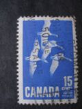 [Canada Geese, տեսակ JI]