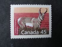 [Canadian Mammals, jenis AOI]