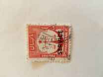 [Local Motifs, type XYA]
