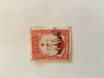 [Local Motifs, type XYA]