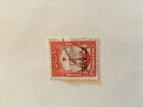[Local Motifs, type XYA]