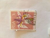 [Flora and Fauna, type NG]