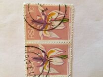 [Flora and Fauna, type NG]