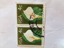 [Flora and Fauna, type NJ]