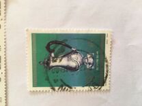 [Cape Silverware, type VR]