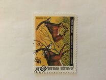 [Endangered Animals, type EC]