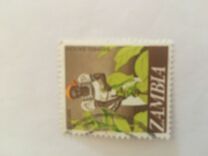 [Local Motifs - Value in (K)wacha and (N)gwee, tip AL]